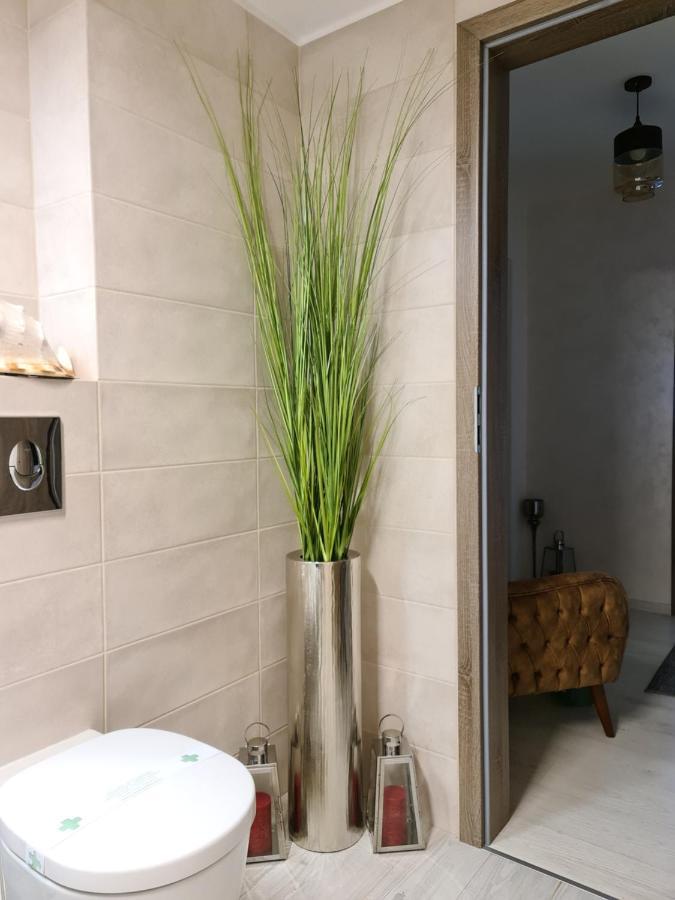 Apartment Alonisos Lux Brasov Exterior photo